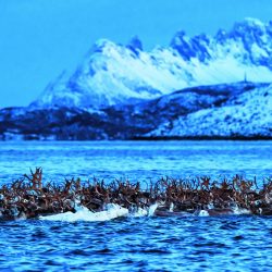 pg203_Europe_McBride_Norway_Nov222020_0813